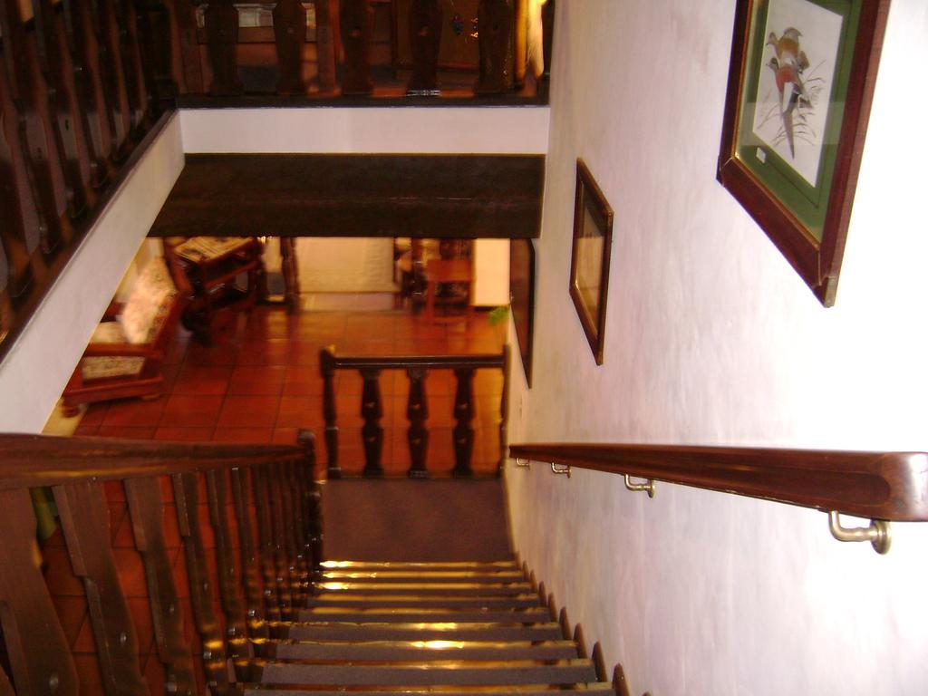 Hosteria La Masia San Martín de los Andes 외부 사진